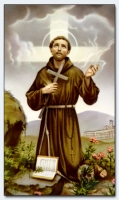 25093 - Francis Of Assisi