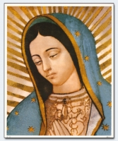 11255 - Guadalupe, U.L.F.