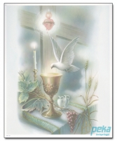 11264 - Masspicture: Chalice With Dove