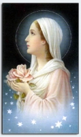 24003 - Mary, Virgin With Rose