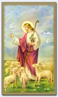 04945 - Good Shepherd