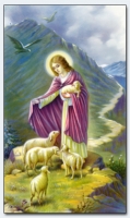 20161 - Good Shepherd