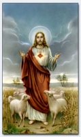 25053 - Good Shepherd