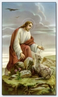 25052 - Good Shepherd