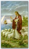 25051 - Good Shepherd