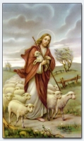 25050 - Good Shepherd