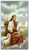 25049 - Good Shepherd