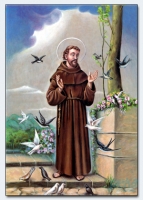 17021 - Franz von Assisi