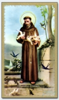 04208 - Franz von Assisi