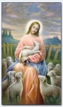 20114 - Good Shepherd